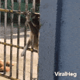 Unlocking The Gate Viralhog GIF - Unlocking The Gate Viralhog Opening The Gate GIFs