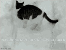 Rule10 Mumbo Token GIF - Rule10 Mumbo Token GIFs