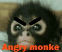Angry Monke GIF - Angry Monke GIFs
