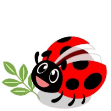 Ladybug Go GIF - Ladybug Go GIFs