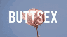 flower butt sex anal