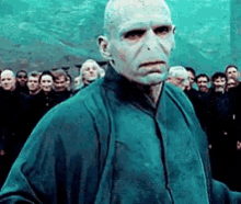 Lord Voldemort Serious GIF - Lord Voldemort Serious Harry Potter GIFs