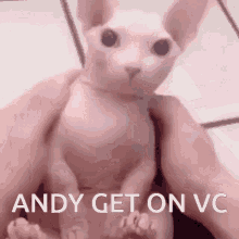 andy get on vc get on vc