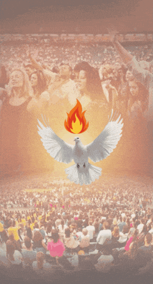a poster that says shalom selamat dan berib with a dove and flame