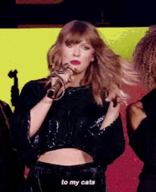 Taylor Swift To My Cats GIF - Taylor Swift To My Cats Reputation GIFs
