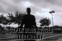 Super Black GIF - Super Black Tiger GIFs