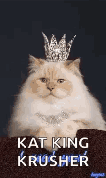 I Need You Cats GIF - I Need You Cats Kat King Krusher GIFs