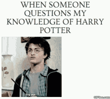 Harry Potter Daniel Radcliffe GIF - Harry Potter Daniel Radcliffe Try Me GIFs