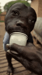 a man is drinking from a small white cup