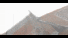 a close up of a person 's face with a blurred background