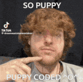 Dreamwastaken Puppy Coded GIF - Dreamwastaken Puppy Coded Dream Mincraft GIFs