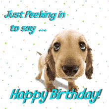 Happy Birthday Images With Dogs GIFs | Tenor