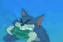Bite Turtle Tom And Jerry GIF - Bite Turtle Tom And Jerry Tom GIFs