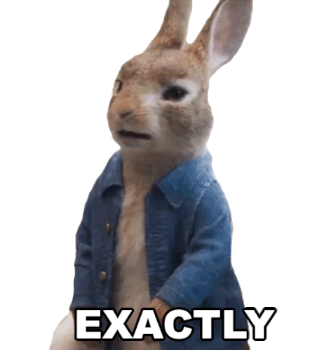 Peetah the bunny's here and I don't get what he's saying :  r/PeterExplainsTheJoke