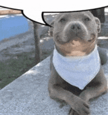 a dog wearing a bandana and a speech bubble on its head .