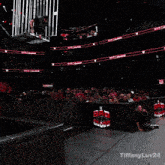 a man sits on the floor in front of a crowd with tiffanyluv24 written in the corner
