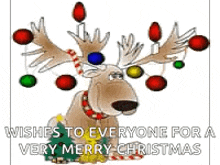 a cartoon reindeer with christmas balls on its antlers wishes everyone a very merry christmas .