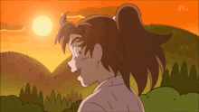 a cartoon character with a ponytail is standing in front of a sunset in a field .