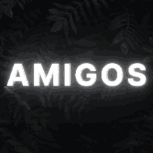 Amigos GIF - Amigos GIFs