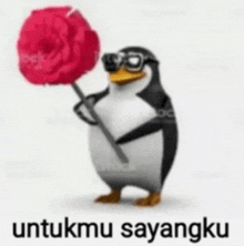 a penguin wearing sunglasses is holding a red rose with the words untukmu sayangku below it