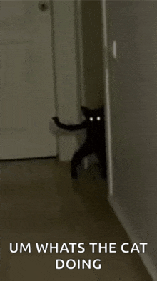 a black cat is peeking out from behind a door with a caption that says um whats the cat doing