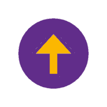 dtc chile yellow and purple arrow up pointing up