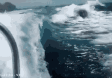 Orca Whale GIF - Orca Whale Swim GIFs