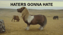I Dont Care Bout No Haters Idc GIF