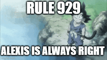 Dbz Rule GIF - Dbz Rule 929 GIFs