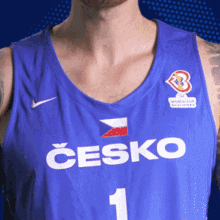 Czbasketball Eurobasketball GIF - Czbasketball Eurobasketball Auda GIFs