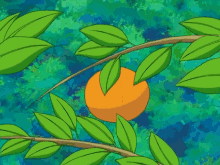 Orange Fruit GIF - Orange Fruit Aipom GIFs