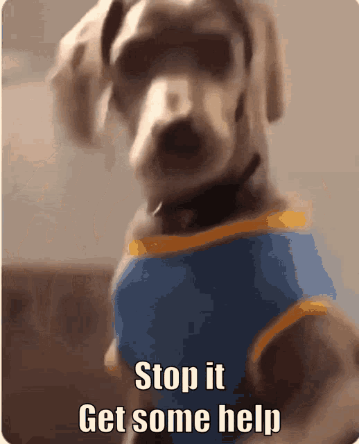 Dog Funny GIF - Dog Funny Get Some Help - Discover & Share GIFs