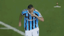 Grêmio GIF - Grêmio GIFs