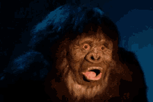 Ape Shock GIF - Ape Shock Wtf GIFs