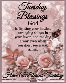 a tuesday blessings god is fighting your battles arrange things in your favor