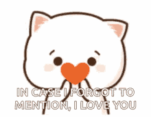 Cat I Love You GIF - Cat I Love You In Love GIFs