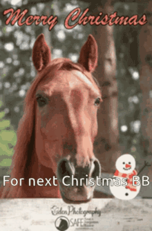 Brenda Ortiz Xmas Horse GIF - Brenda Ortiz Xmas Horse Merry Christmas GIFs