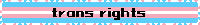 a banner with a transgender flag and the words trans rights on it