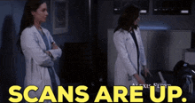 Greys Anatomy Amelia Shepherd GIF - Greys Anatomy Amelia Shepherd Scans Are Up GIFs