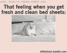 Clean Sheets That Feeling When You Get Fresh And Clean Bed Sheets GIF - Clean Sheets That Feeling When You Get Fresh And Clean Bed Sheets GIFs