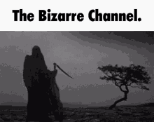 The Bizarre Channel GIF - The Bizarre Channel Bizarre Channel GIFs