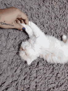 Play Play Time GIF - Play Play Time Play With Me GIFs