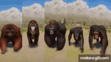 Primate Race GIF - Primate Race Running GIFs
