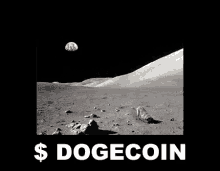 Doge Coin Crypto Currency GIF - Doge Coin Crypto Currency Alt Coins GIFs