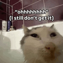 a cat in a bathtub with a caption that says " ohhhhh "