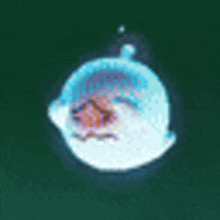 a ghost with a face on it is floating in the water .
