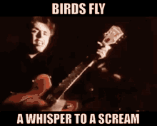 Icicle Works Birds Fly GIF - Icicle Works Birds Fly Whisper To A Scream GIFs