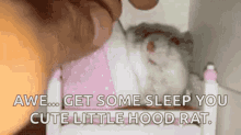 aww get some sleep cute little hood rat tuck in bed