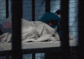 a person laying on a bed in a prison cell with a blanket on