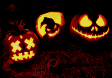 잭오랜턴 할로윈 호박 무시무시 GIF - Jack O Lantern Pumpkin Halloween GIFs